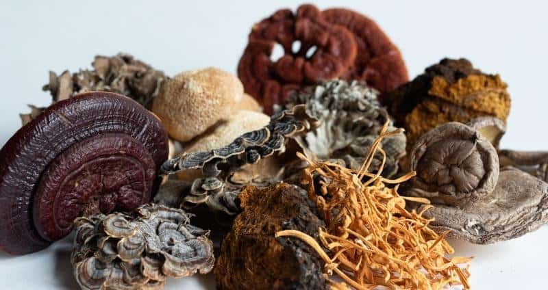 Seven Mushroom Blend Seven Mushroom Blend