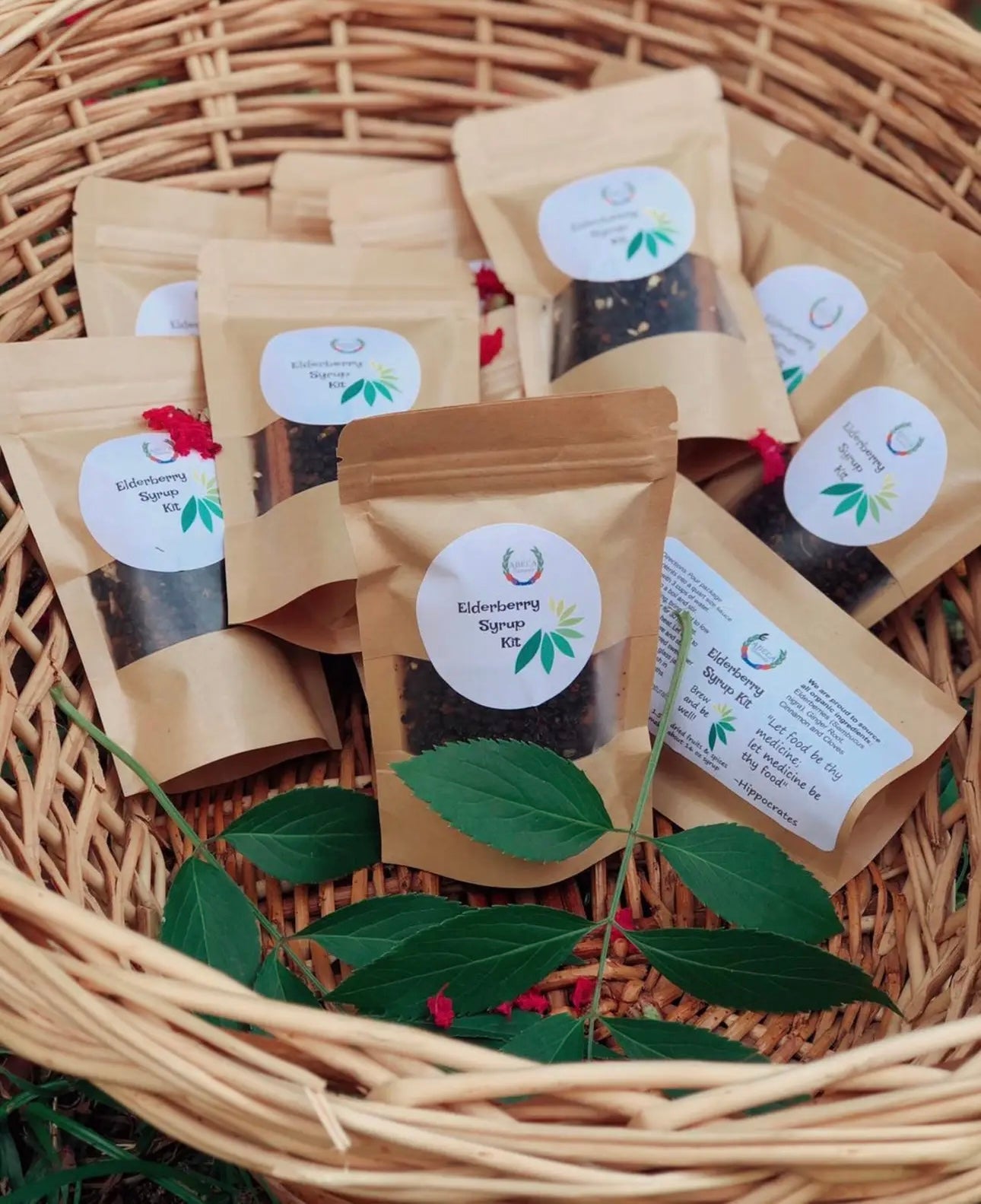 DIY Elderberry Kit DIY Elderberry Kit