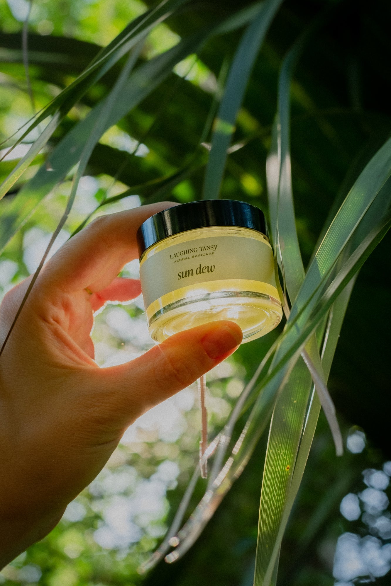 Sun Dew Waterless Moisturizer - Natural Skincare Sun Dew Waterless Moisturizer - Natural Skincare