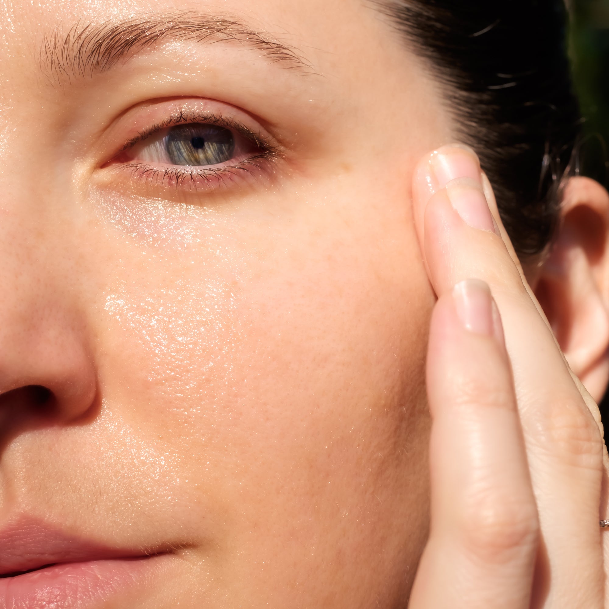 Sun Dew Waterless Moisturizer - Natural Skincare Sun Dew Waterless Moisturizer - Natural Skincare