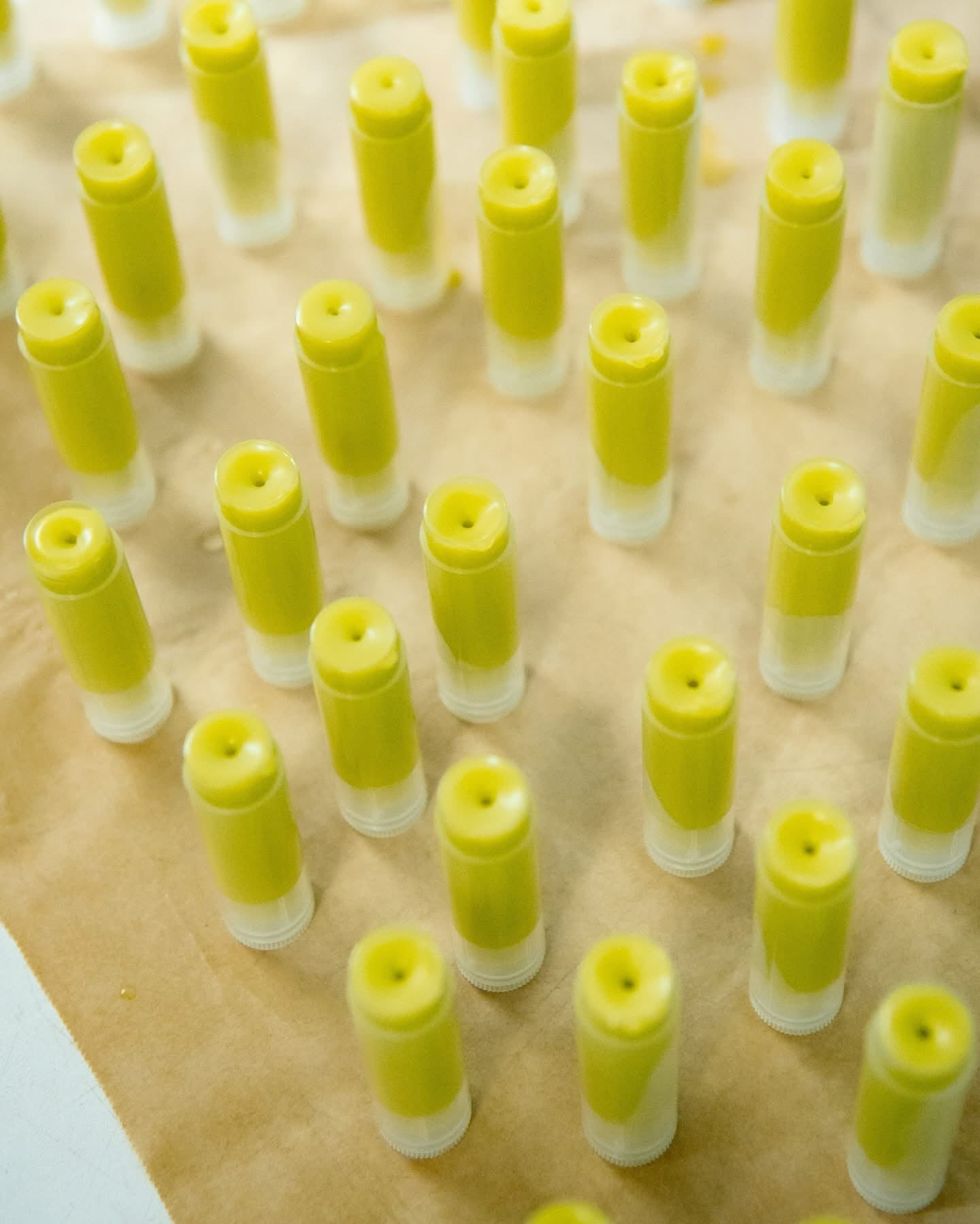 Lemon🌱balm Lip Care Lemon🌱balm Lip Care